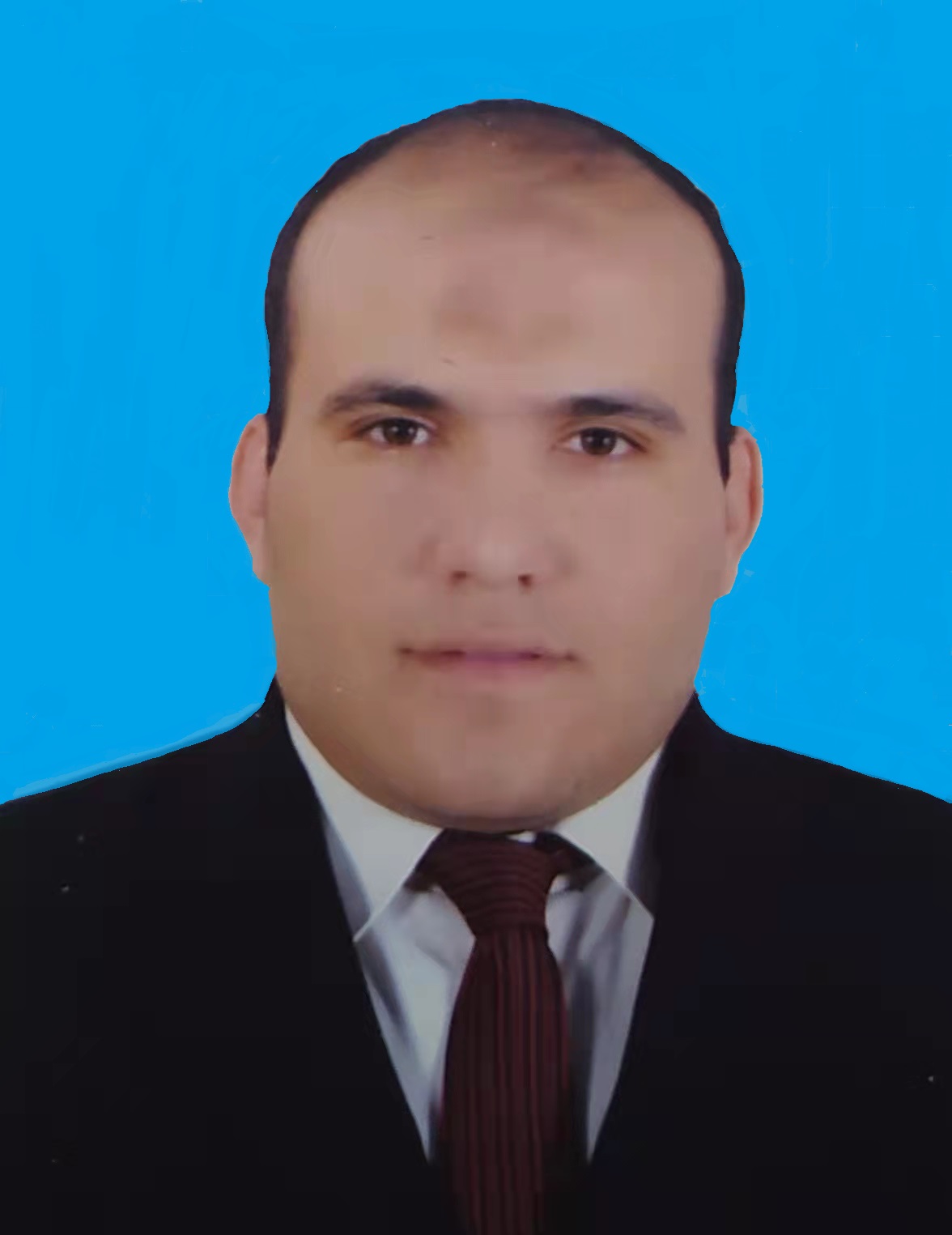 Mohamed Shehata Saleh Khalil
